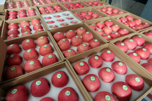 貨主拉蘋果蕉被收千元過路費(fèi) 農(nóng)產(chǎn)品分類爭議引發(fā)關(guān)注