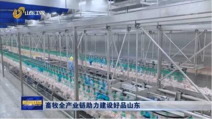 《山東新聞聯播》| 鳳祥股份全產業鏈助力建設好品山東，初級農產品提質增效